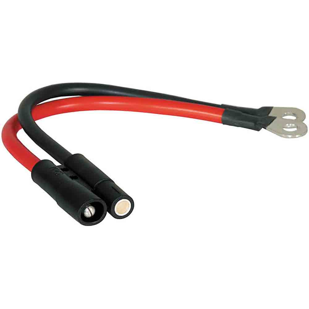 CABLE AND PLUG ASSEMBLY