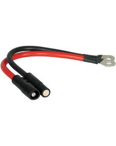 CABLE AND PLUG ASSEMBLY